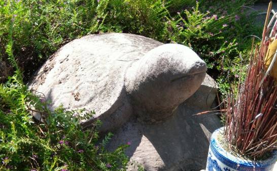 A stone turtle statue in the grass

Description automatically generated